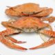 How to cook crab pinoy style